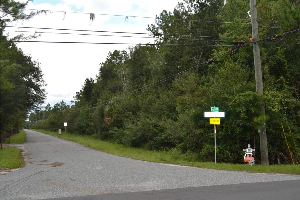 Photo of Deen Still Road W, Polk City, FL 33868 (MLS # O6440545)