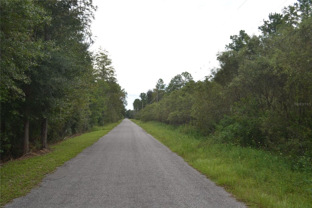 Photo of Deen Still Road W, Polk City, FL 33868 (MLS # O6440545)