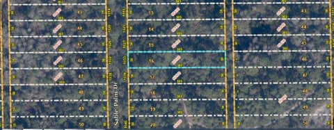 Photo of 1033 Sable Palm Drive, Christmas, FL 32709 (MLS # O6414481)