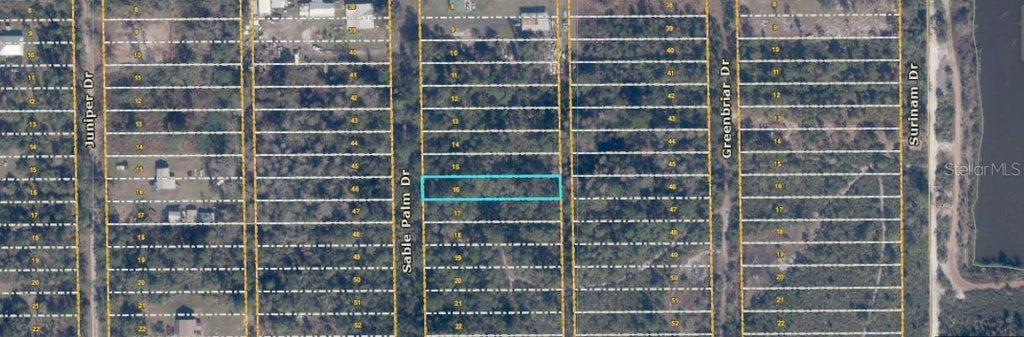 Photo of 1033 Sable Palm Drive, Christmas, FL 32709 (MLS # O6414481)