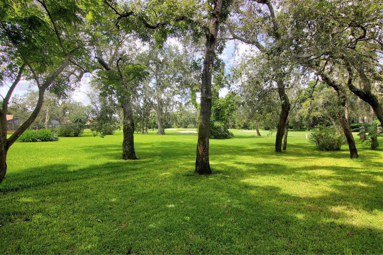 Fly In Spruce Creek Inc Unit 01 - Residential