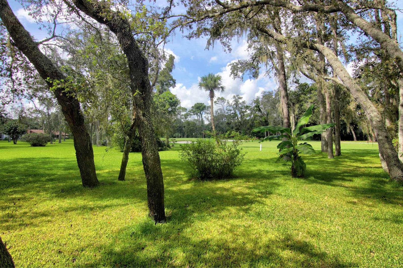 Fly In Spruce Creek Inc Unit 01 - Residential