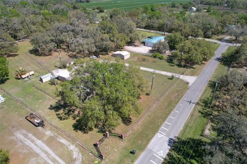 A home in PLANT CITY