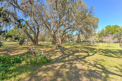 A home in PLANT CITY