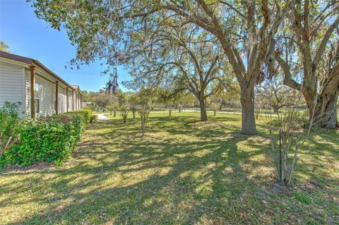 A home in PLANT CITY