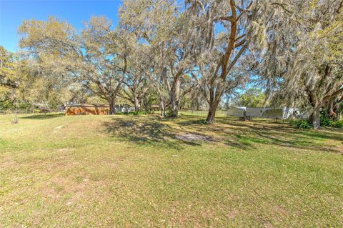 A home in PLANT CITY