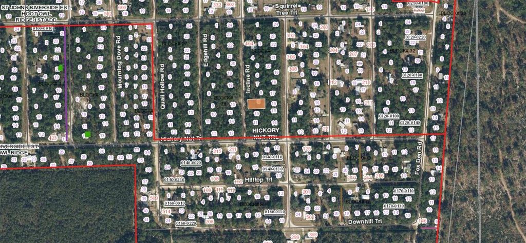 Photo of 416 Incline Road, Satsuma, FL 32189 (MLS # FC318352)