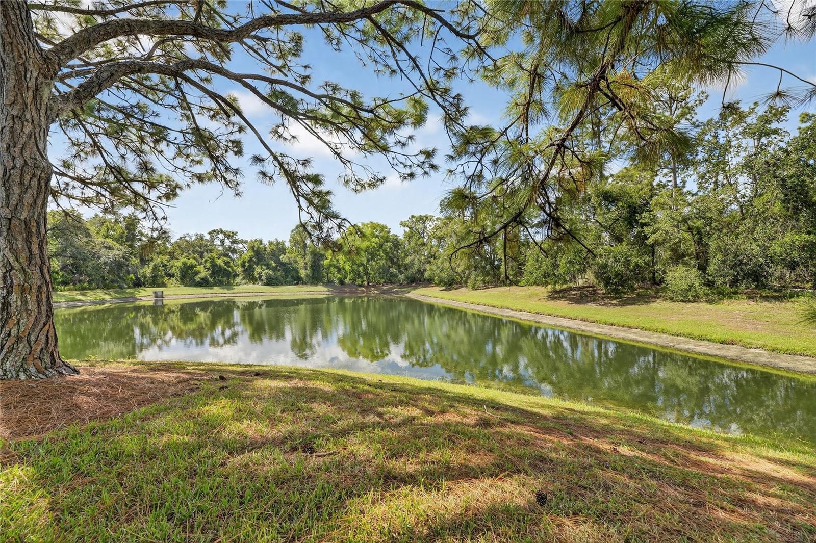 SUMMERFIELD HOLLOW PH 1-A & 1-B - Residential