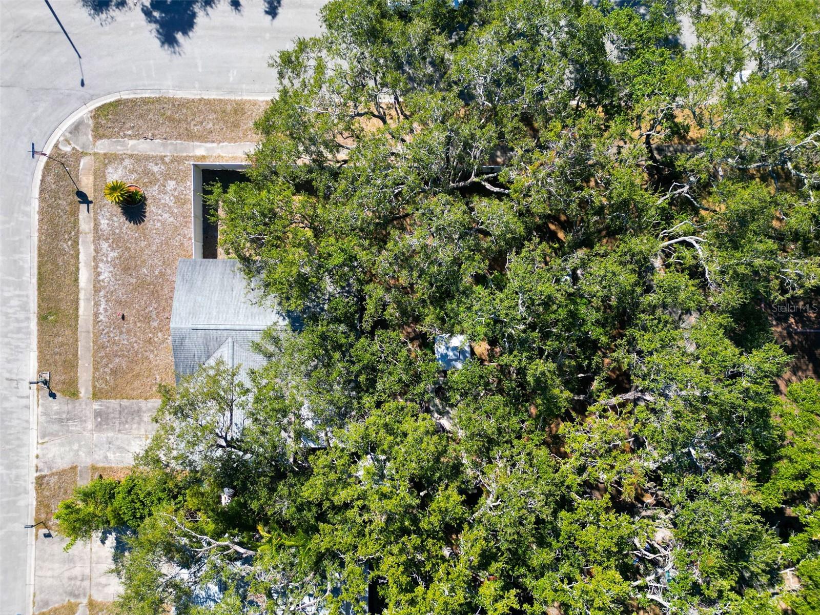 CHARTER OAKS - Residential