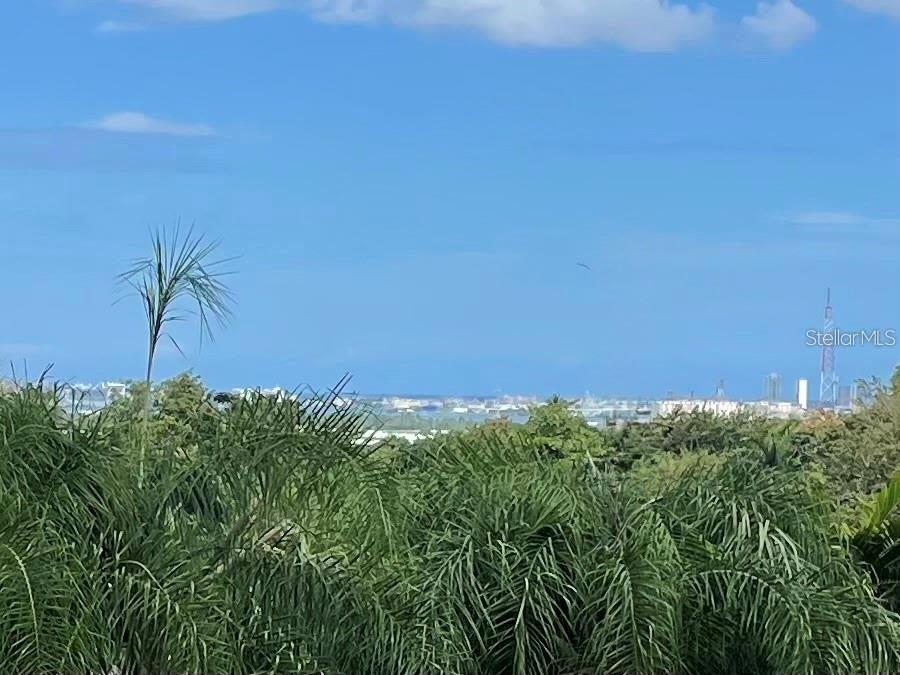 OCEAN AND CITY VIEWS FROM GUAYNABO ESTATE - Residential