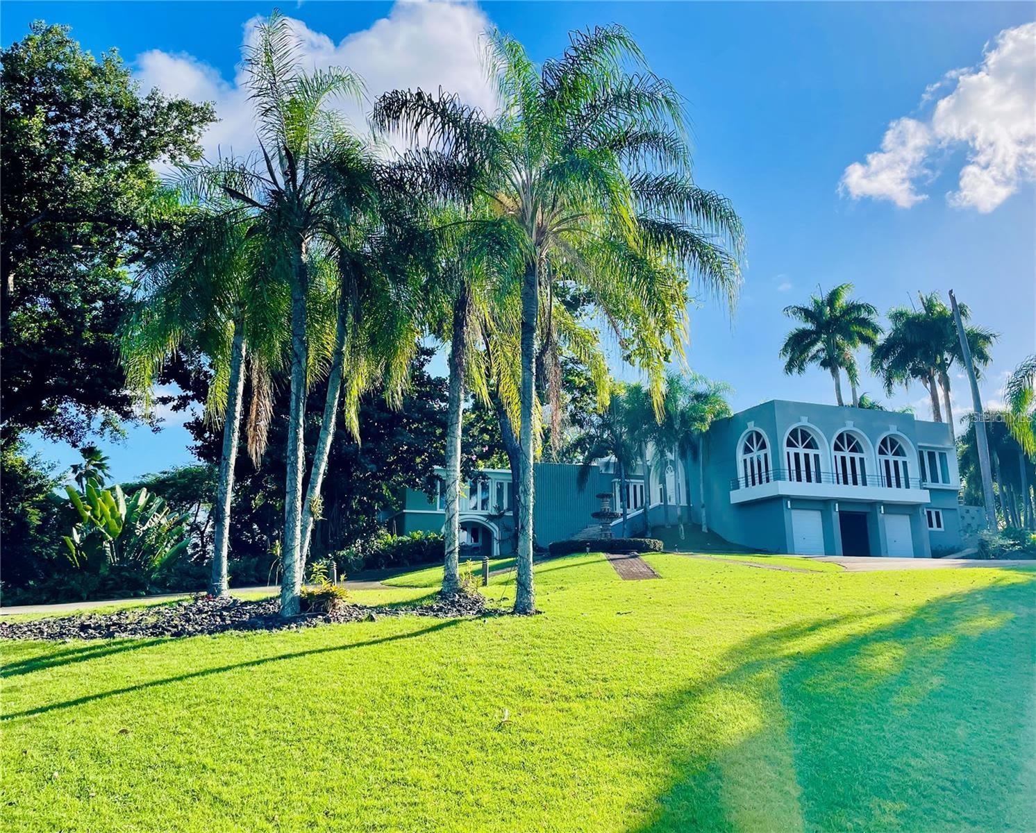 OCEAN AND CITY VIEWS FROM GUAYNABO ESTATE - Residential
