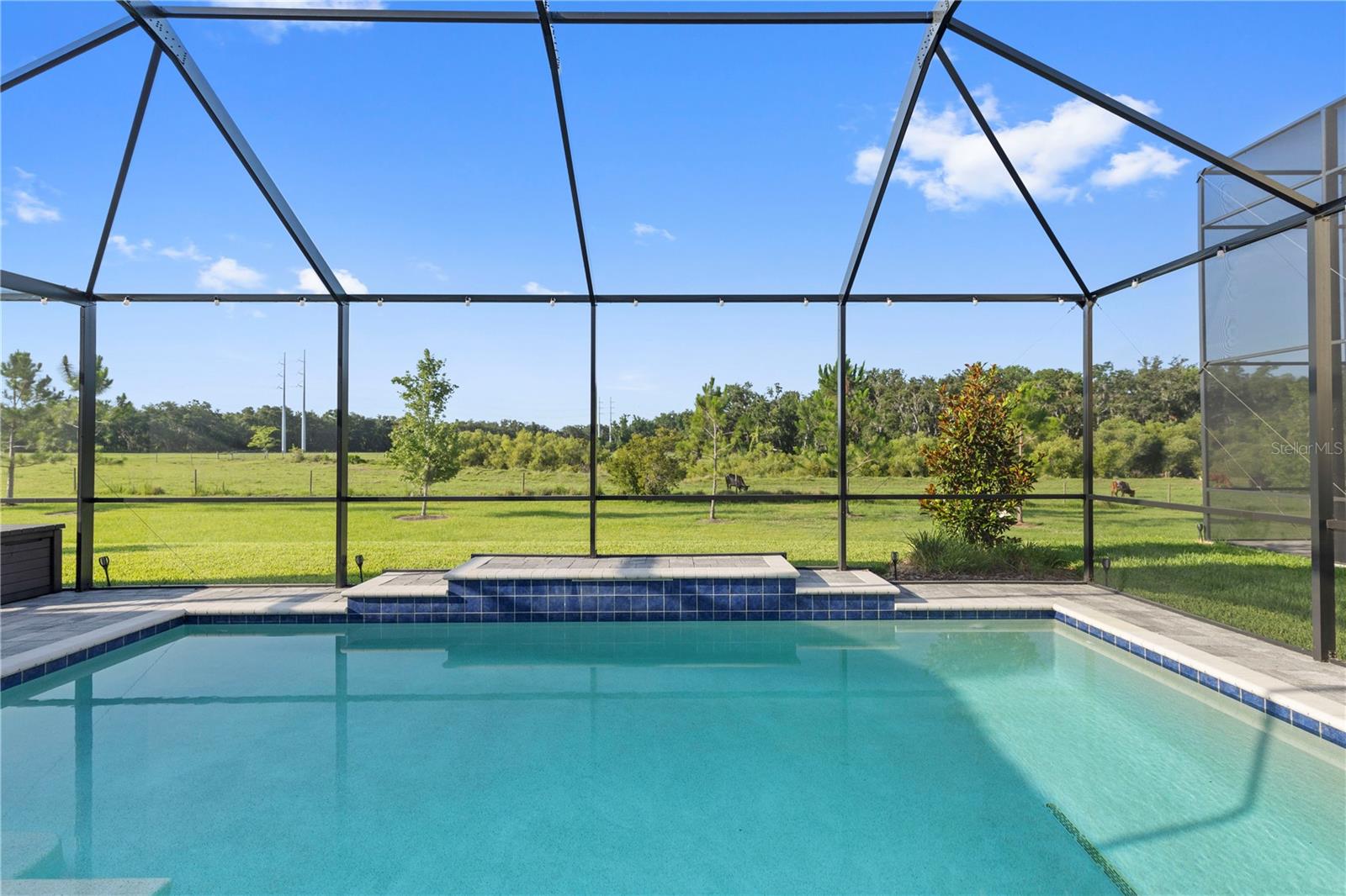 14215 SWISS BRIDGE DRIVE