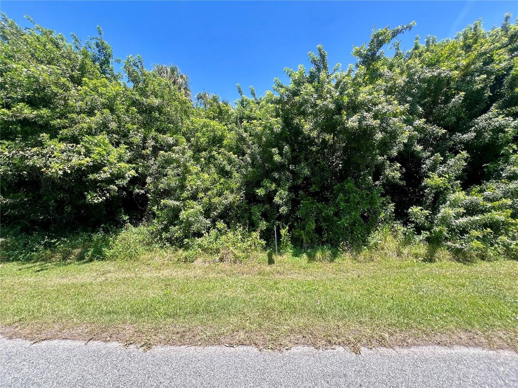 Photo of 48 Ramblewood Street, Port Charlotte, FL 33953 (MLS # C7528827)