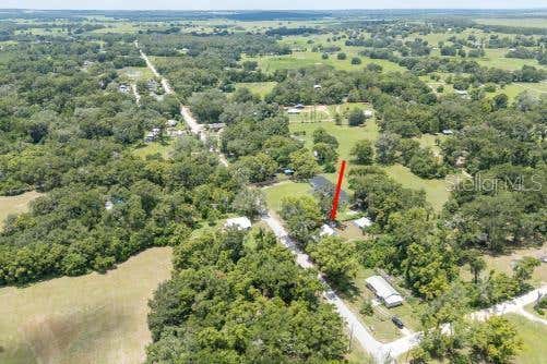 Photo of 37315 Trilby Road, Dade City, FL 33523 (MLS # A4698837)