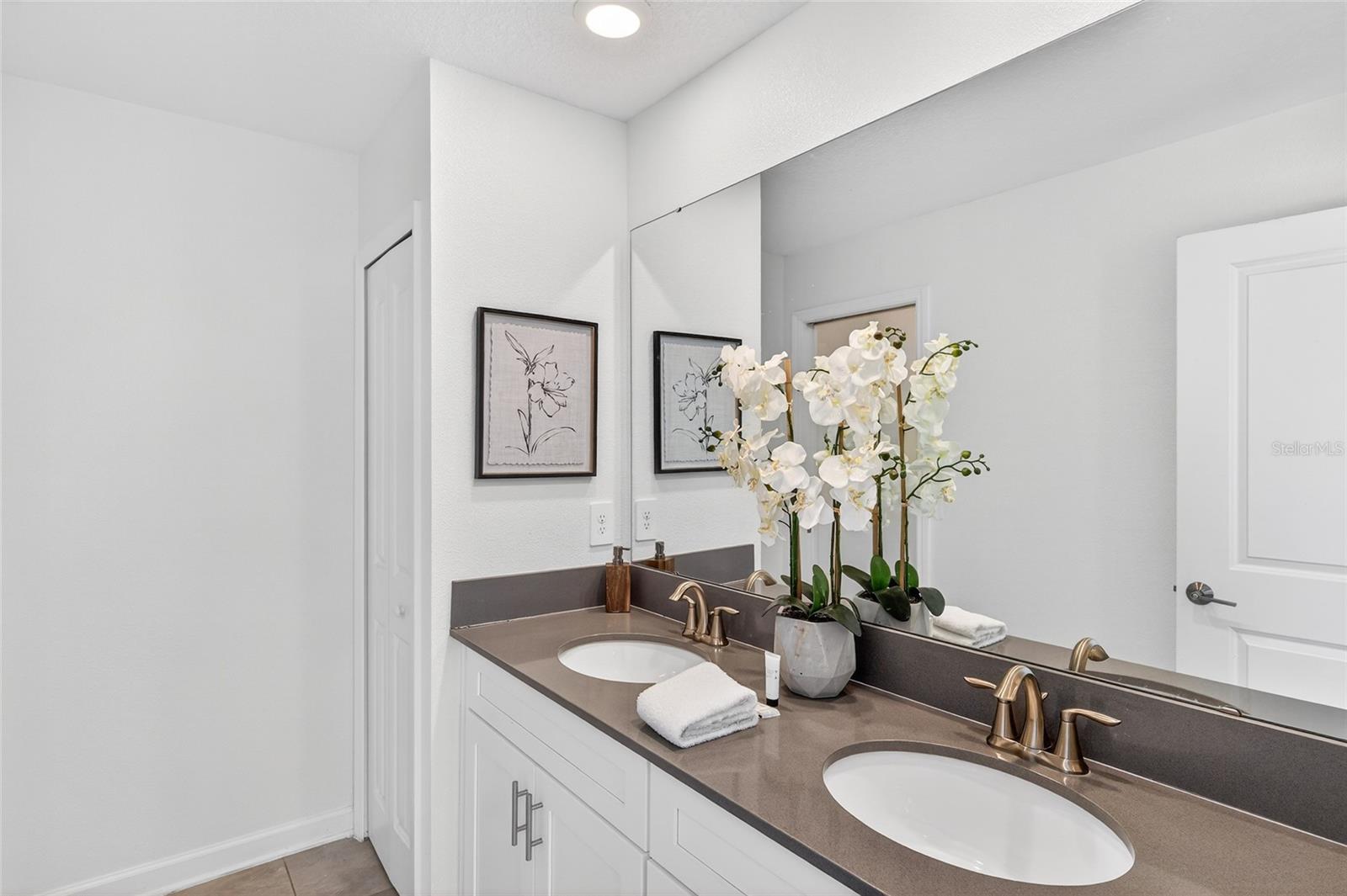 COVE AT STOREY LAKE 4 - Residential