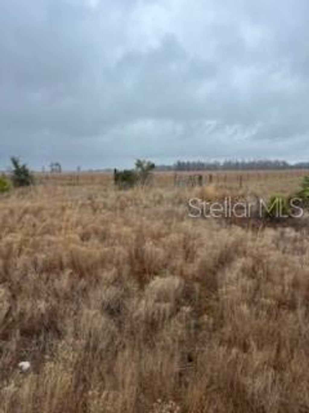 Photo of 1137 Hopkins Lane, Zolfo Springs, FL 33890 (MLS # L4960193)