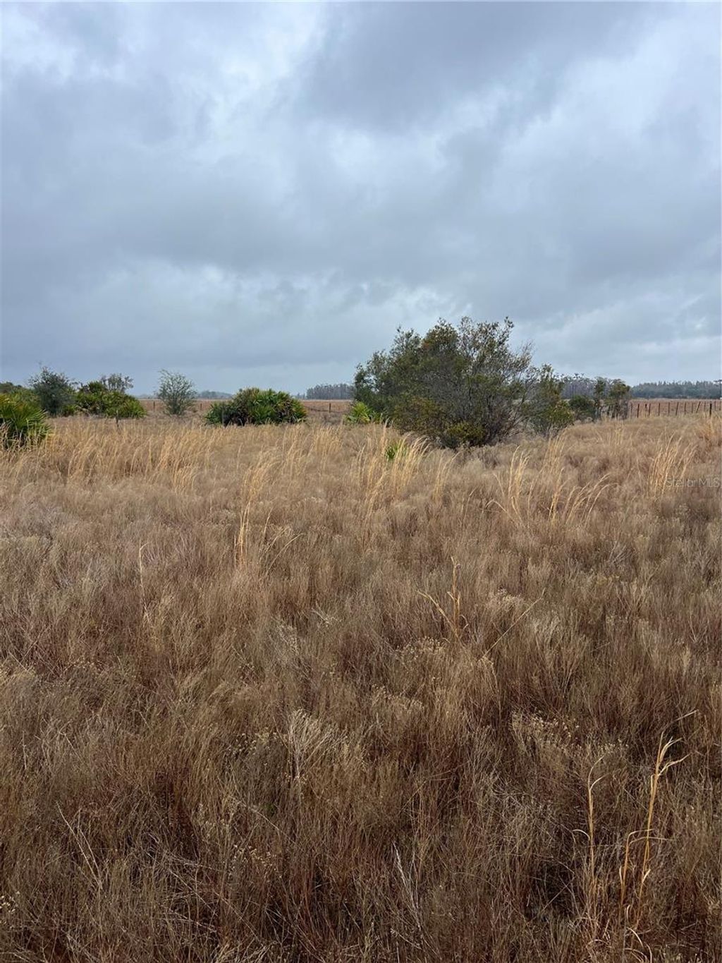 Photo of 1137 Hopkins Lane, Zolfo Springs, FL 33890 (MLS # L4960193)