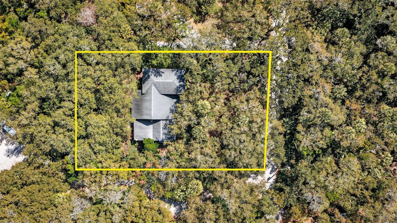 CEDAR STREET - Residential