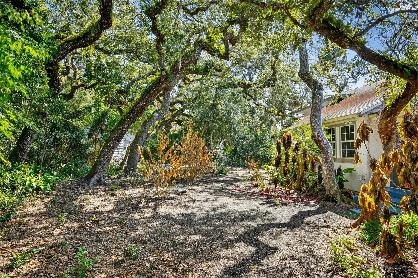 CEDAR STREET - Residential