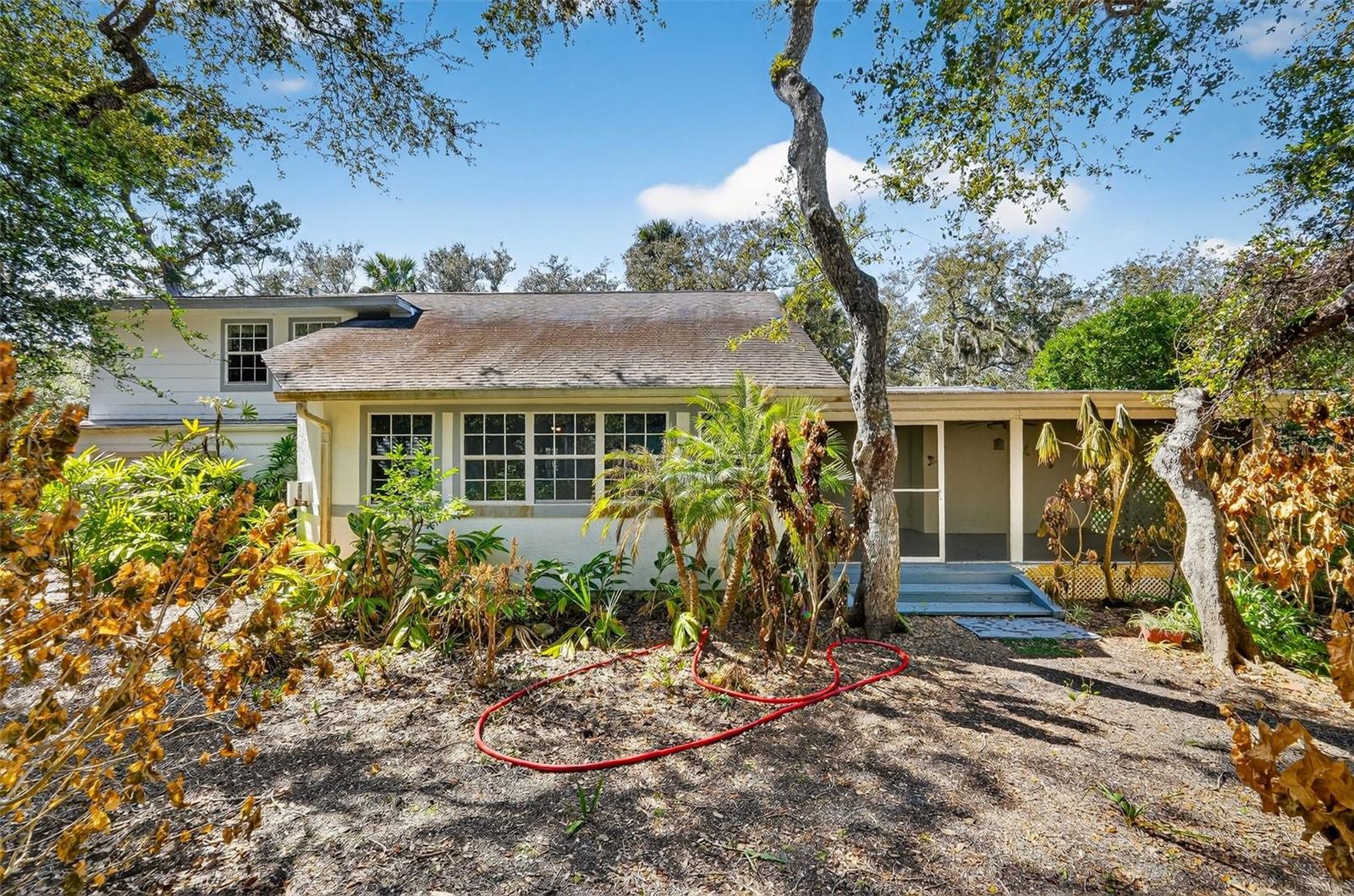 CEDAR STREET - Residential