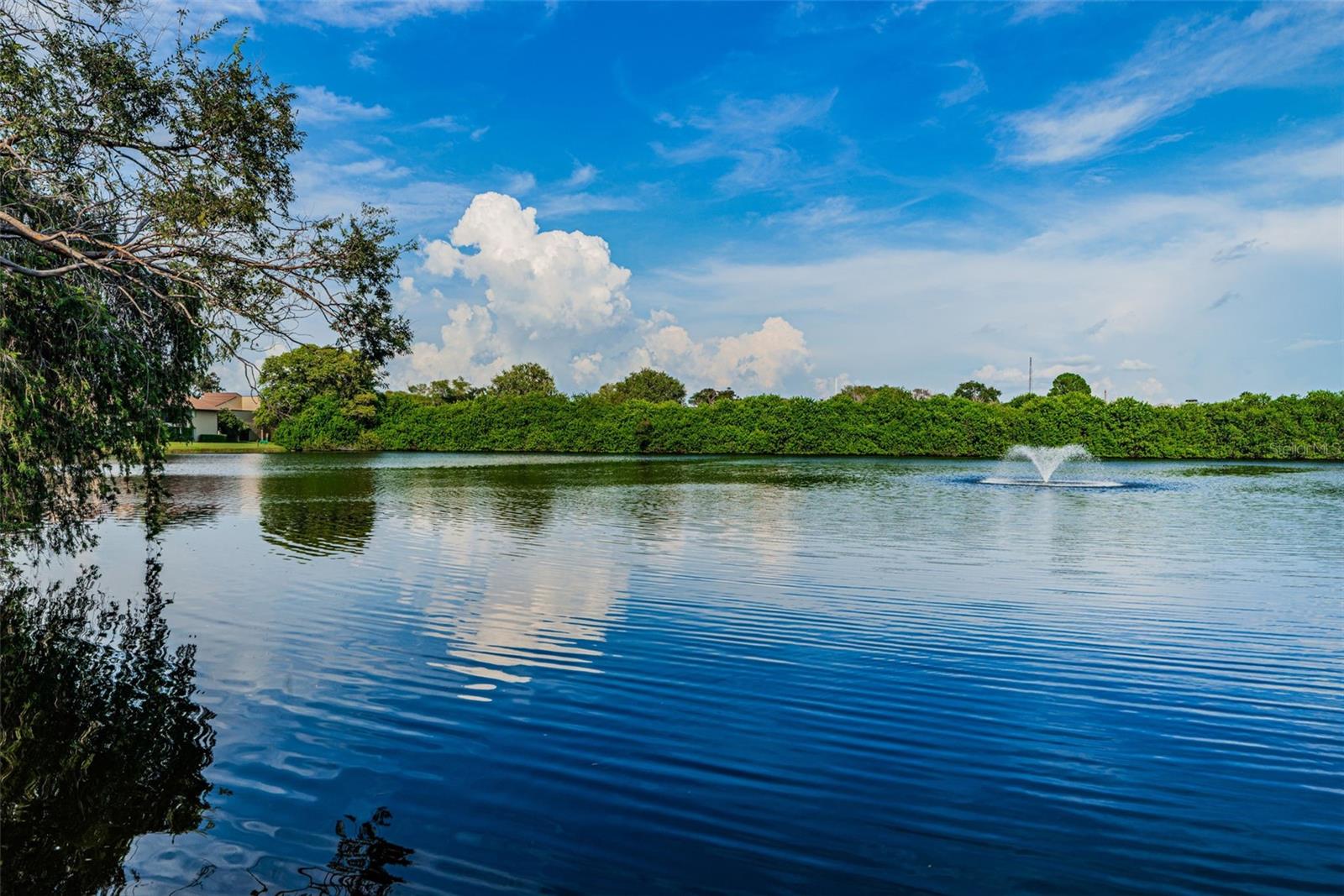 VILLAGE LAKE CONDO - Residential