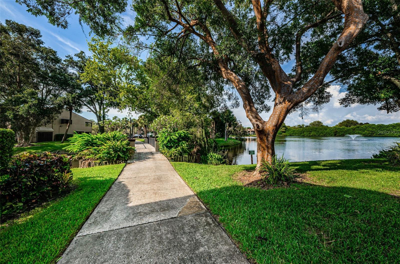 VILLAGE LAKE CONDO - Residential