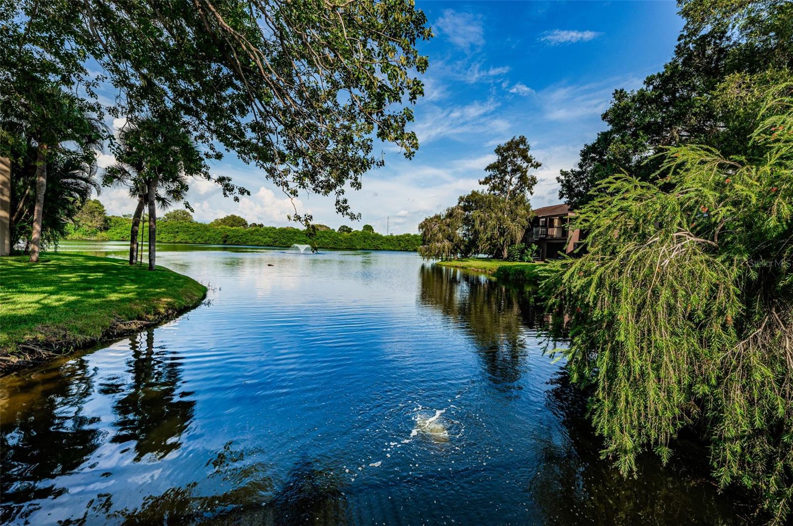 VILLAGE LAKE CONDO - Residential