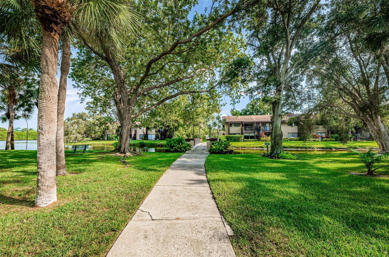 VILLAGE LAKE CONDO - Residential