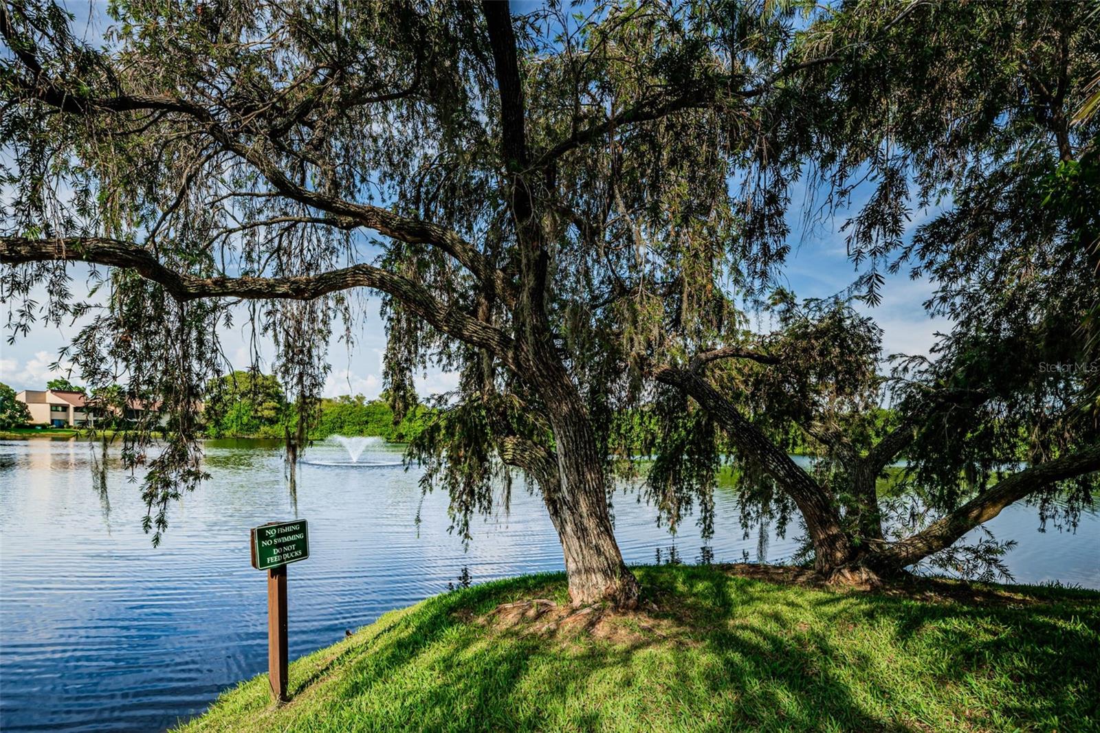 VILLAGE LAKE CONDO - Residential
