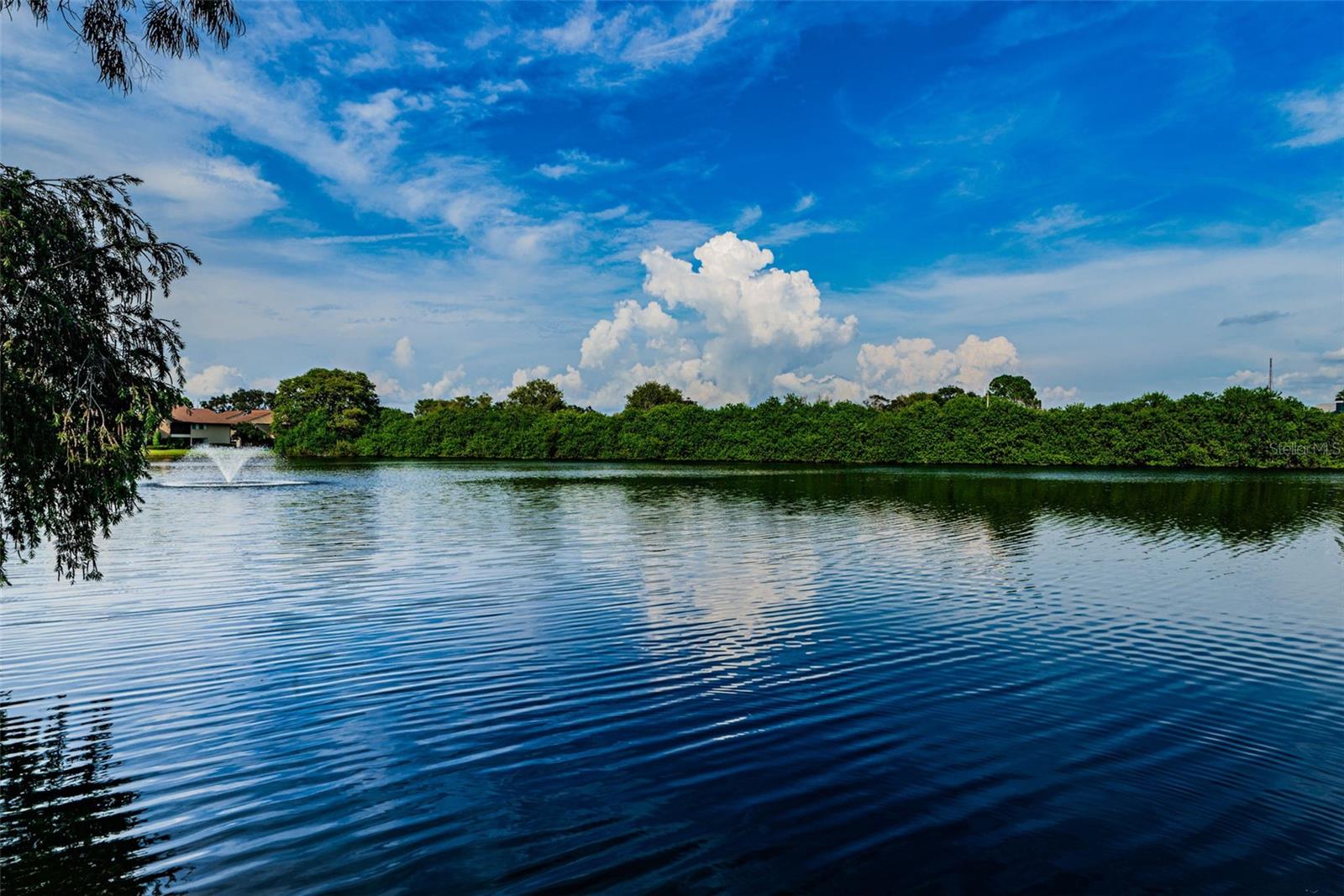 VILLAGE LAKE CONDO - Residential
