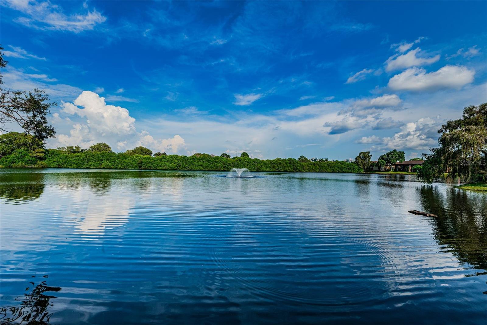 VILLAGE LAKE CONDO - Residential