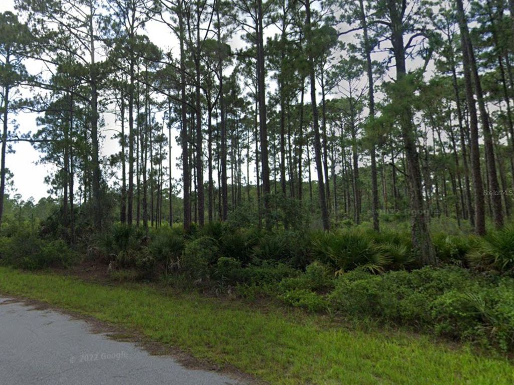 Photo of 463 Reese Street, Port Charlotte, FL 33953 (MLS # C7516745)
