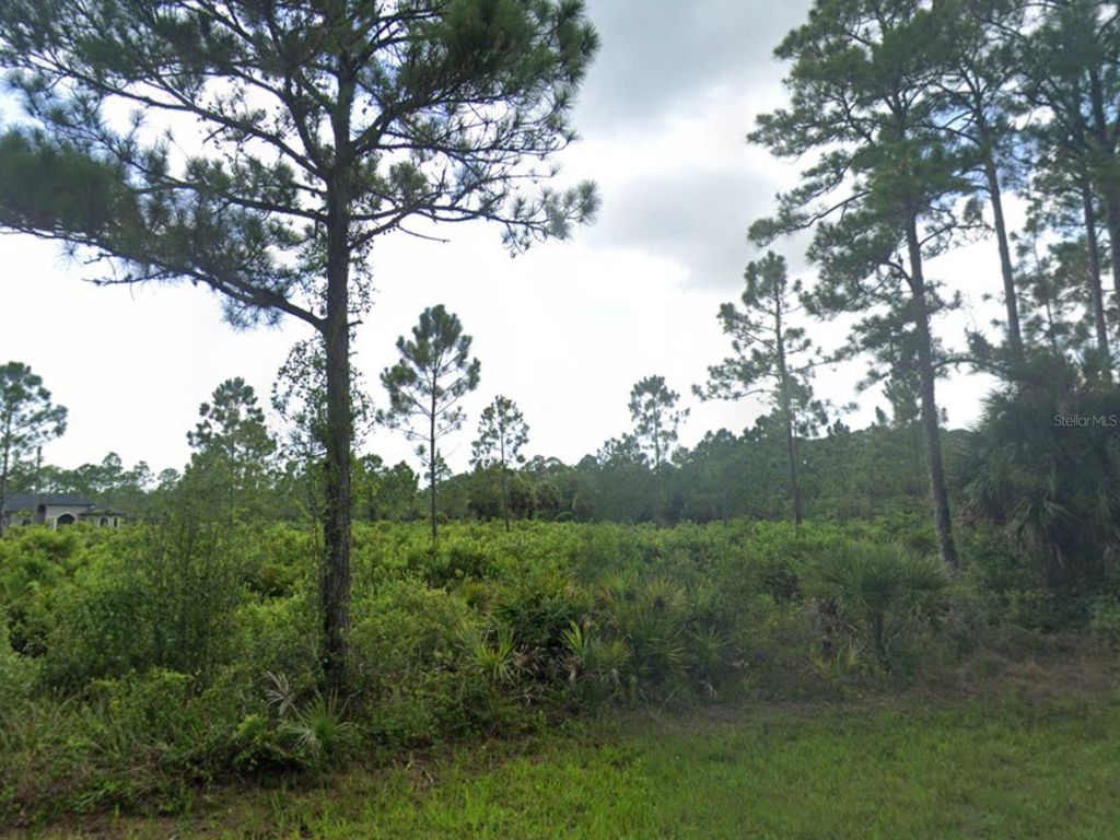 Photo of 463 Reese Street, Port Charlotte, FL 33953 (MLS # C7516745)
