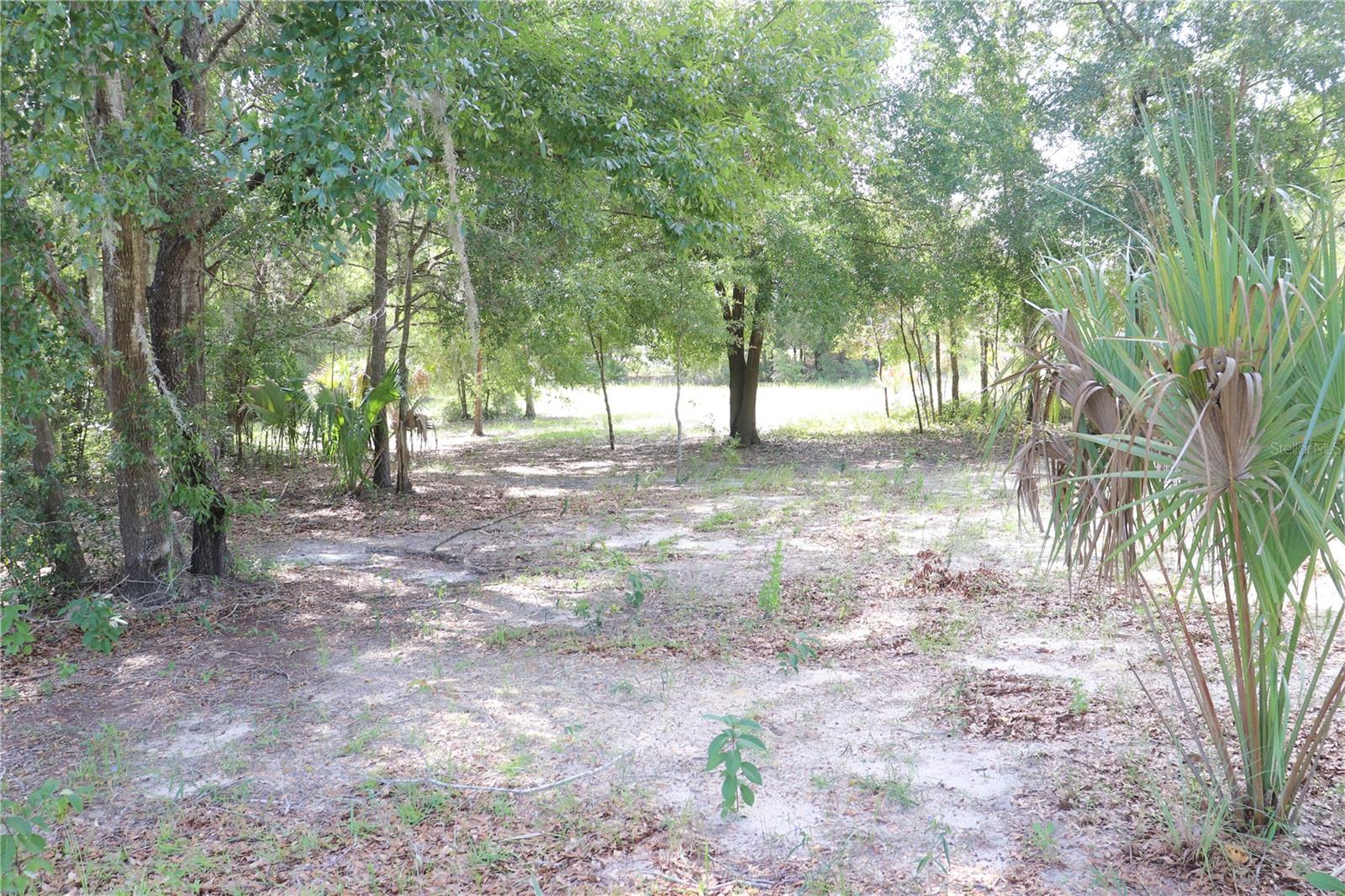 Enjoy a quiet stick build homes only site on a county paved street. High and dry and also is a short drive to Dunnellon or Crystal River. Site is partly cleared and is ready for your new home, by the way lot comes with a county approved set of home plans and a current survey. Should you enjoy boating and fishing then you are in luck the Lake and river are within a short drive with free boat launches.