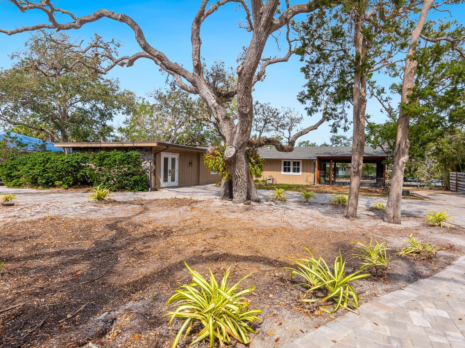 615 BUTTONWOOD DRIVE