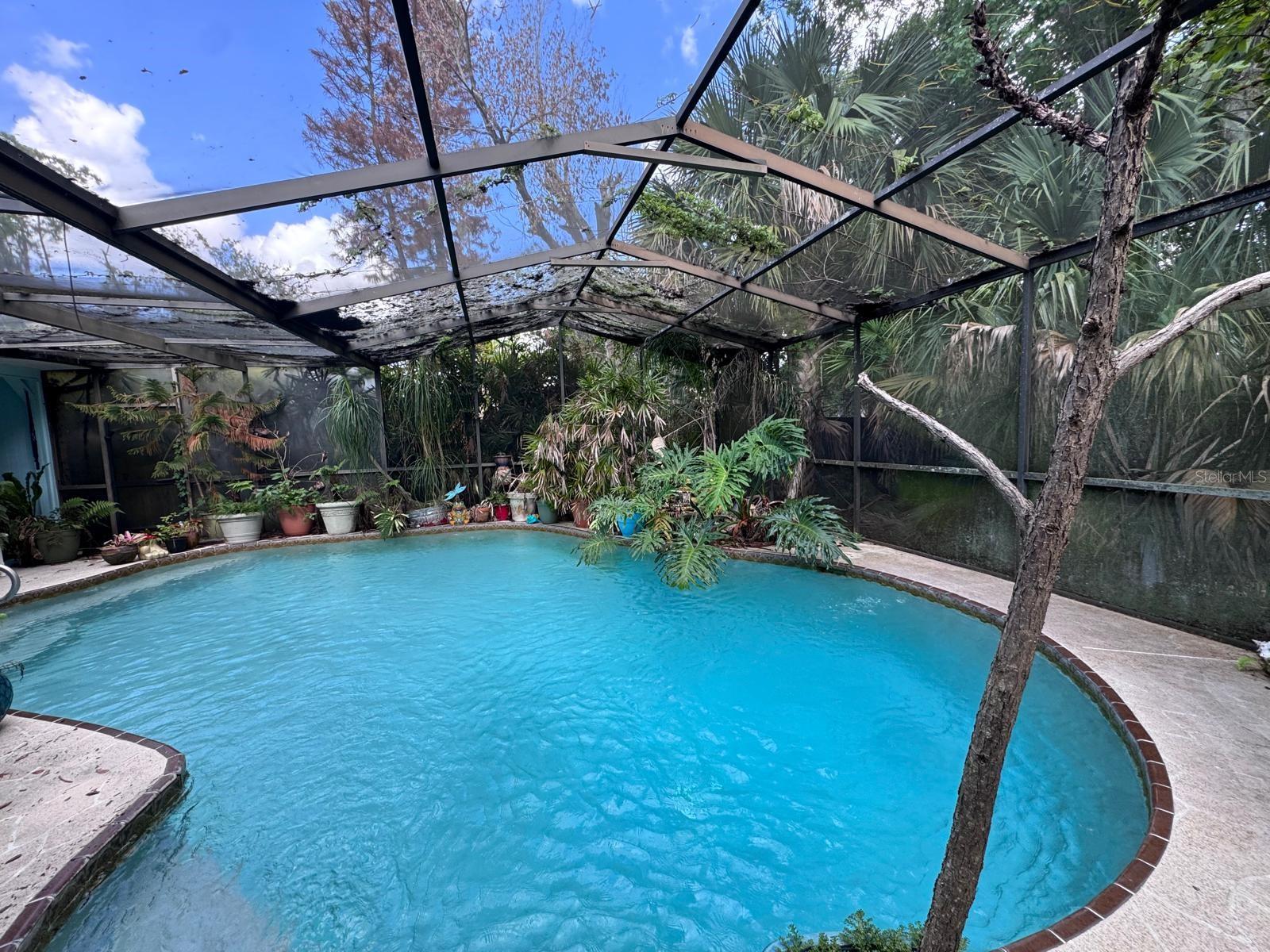 WEKIVA HUNT CLUB 3 FOX HUNT SEC 3 - Residential