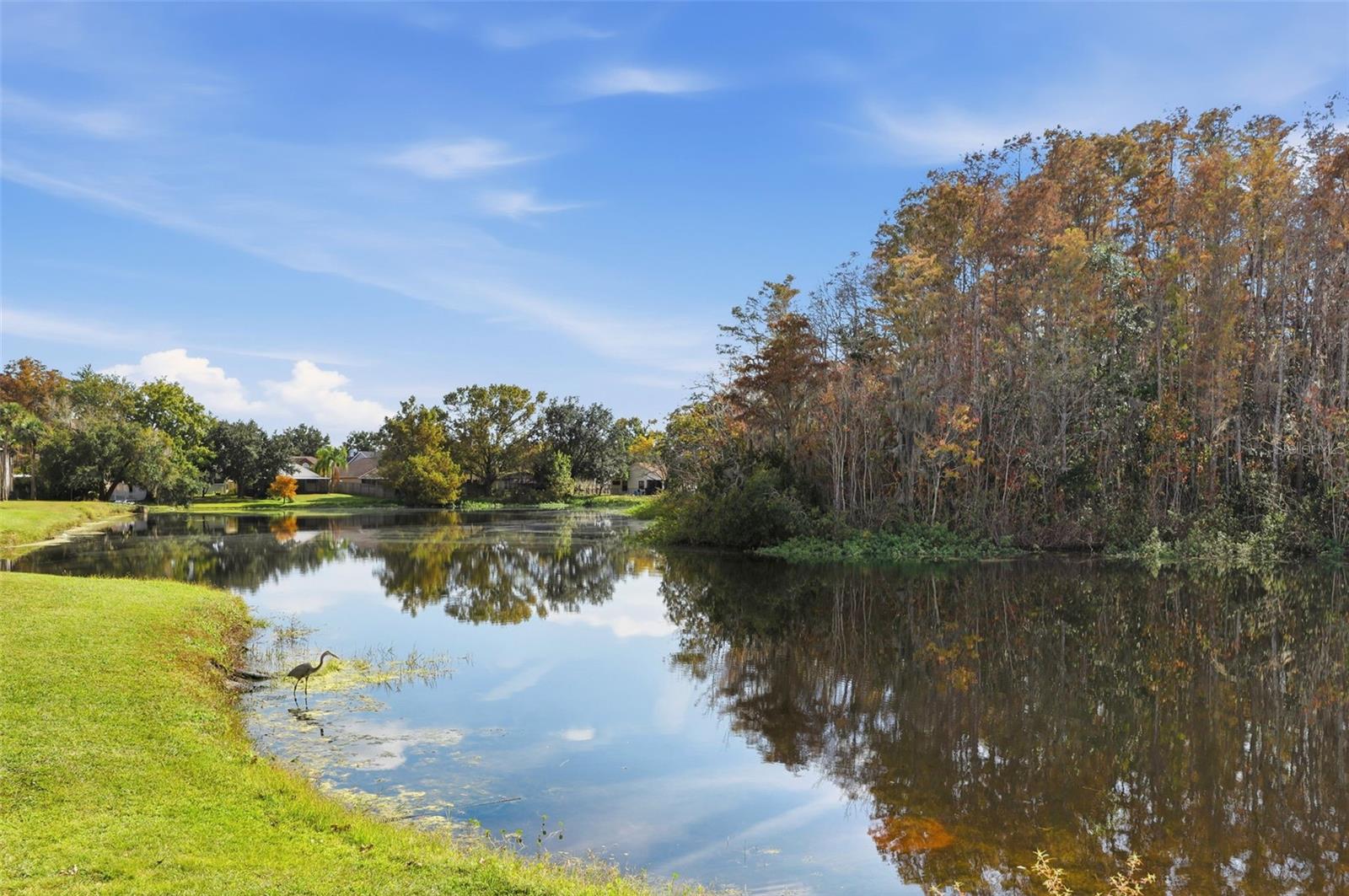 R C WORLD CONDO 01 - Residential