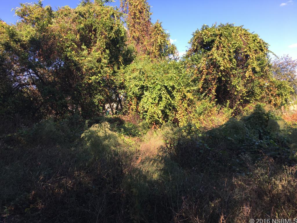 Deltona Lakes Unit 05 - Land