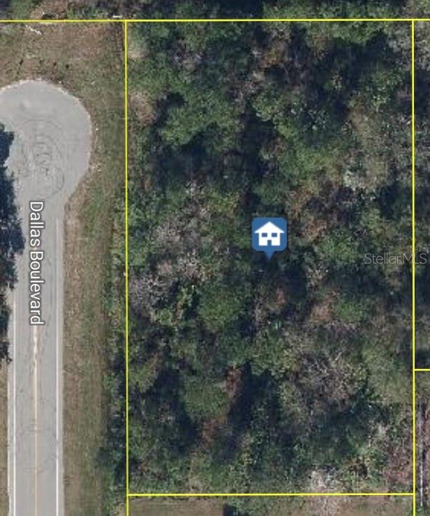Build your dream home on this exceptional vacant lot in Wedgefield Cape Orlando Estates, one of East Orlando’s most sought-after communities! This expansive lot offers the perfect blend of privacy and natural beauty, nestled among custom-built homes and surrounded by serene Florida landscape. Enjoy the peace and space of country living with convenient access to major highways, the Orlando International Airport, Lake Nona Medical City, UCF, and the Space Coast beaches. Whether you’re looking to build now or invest for the future; this is an outstanding opportunity in a rapidly growing area. Don’t miss your chance to own a piece of paradise in Wedgefield!