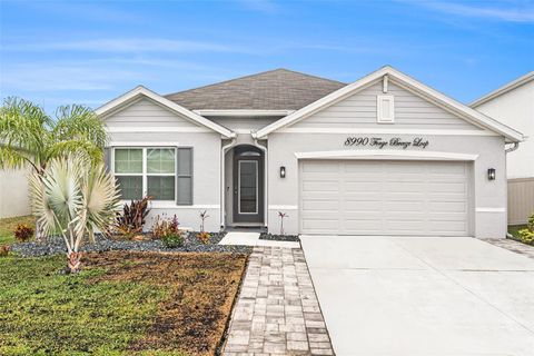 A home in WESLEY CHAPEL