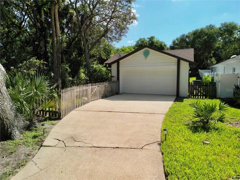 A home in FLAGLER BEACH