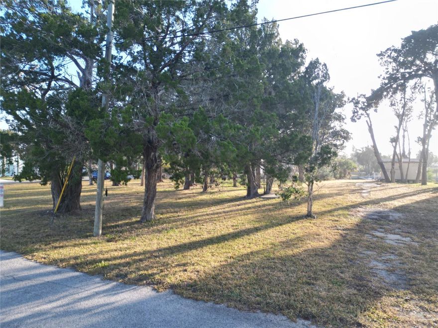 Beautiful waterfront lot located on a canal just off Cow Creek, offering direct access to the Gulf with no bridges to navigate. This .19-acre homesite is the perfect size to build your dream home and already features a concrete seawall in place. Enjoy being just 1.5 miles from Sam’s Beach Bar on Hudson Beach and less than a mile from The Fisherman’s Shack. The property also includes a 12x16 shed and an existing septic system (condition unknown). An added bonus: impact fee credit from the previously removed mobile home gives you a valuable head start on your building plans. This property offers exceptional potential and convenience for your future waterfront lifestyle.