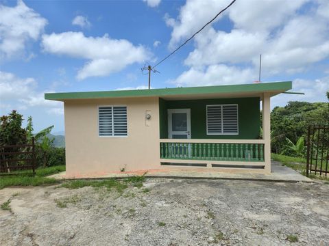 PR 723 KM 8.9 INT. HAYALES WARD COAMO  00769