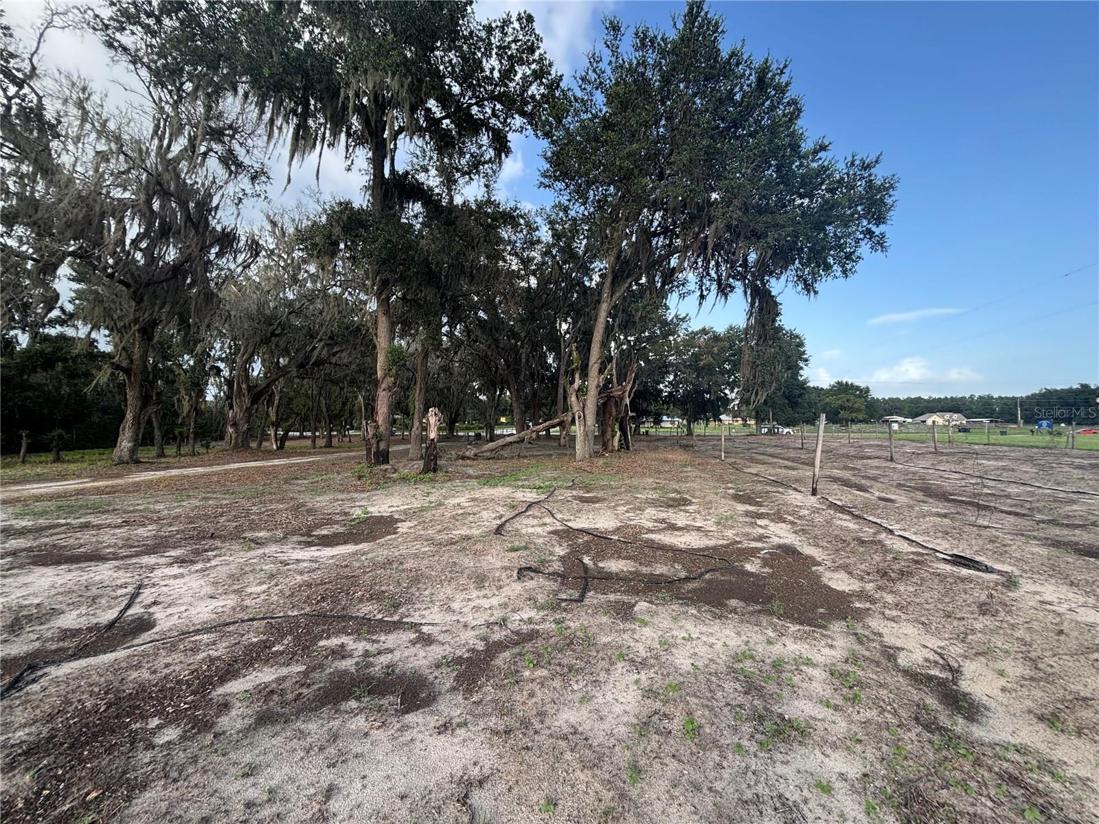 FASSON PLATTED SUB - Residential