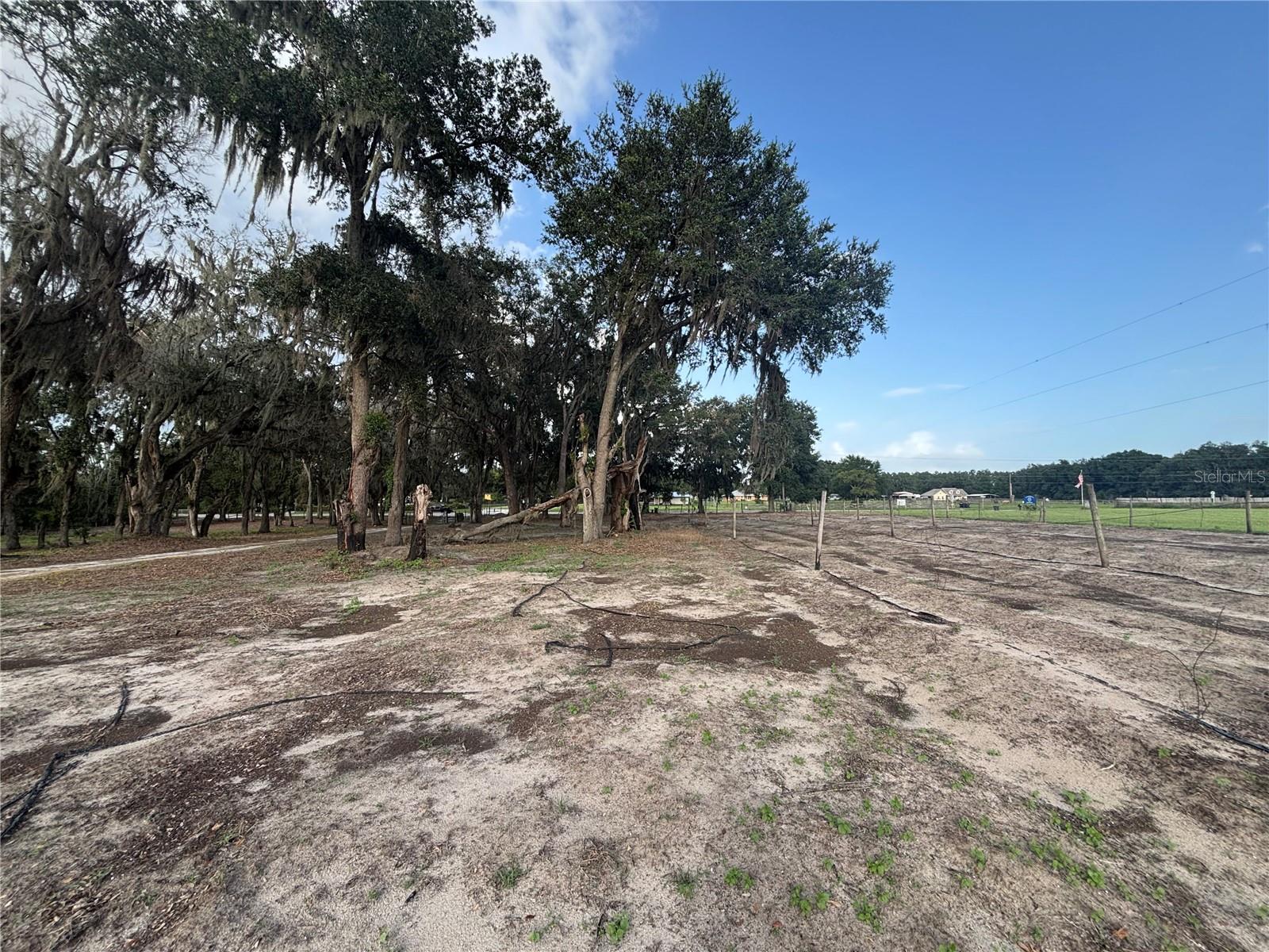 FASSON PLATTED SUB - Residential