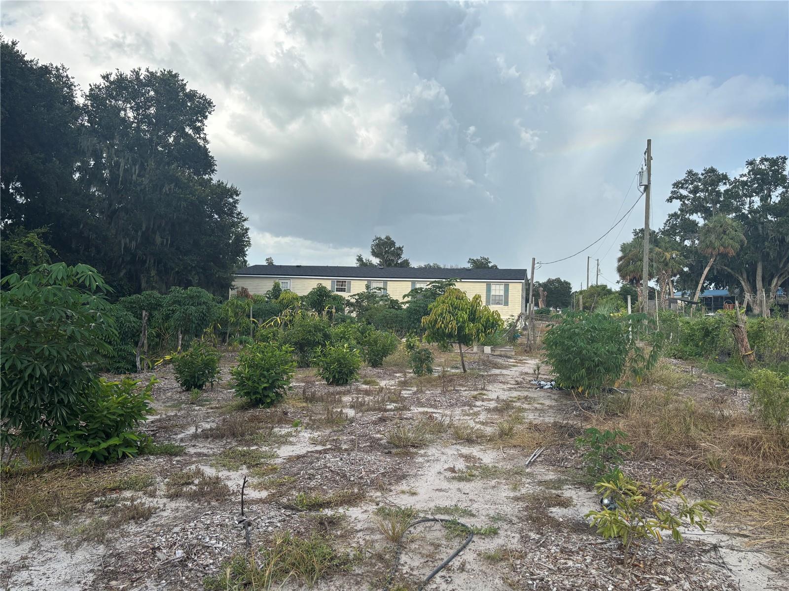 FASSON PLATTED SUB - Residential