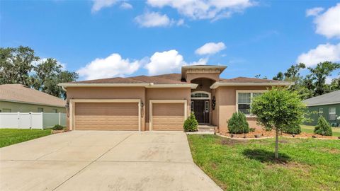 Photo of 2932 Blackwater Oaks Drive, Mulberry, FL 33860 (MLS # L4959397)