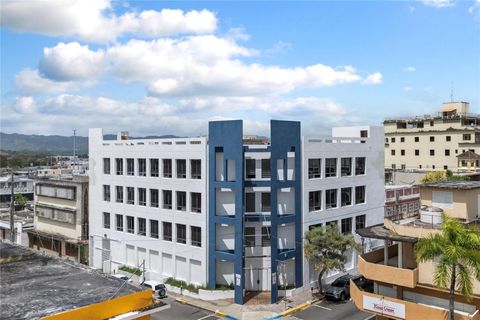 48 ESQUINA CORCHADO Y RUIZ BELVIS CAGUAS 00725