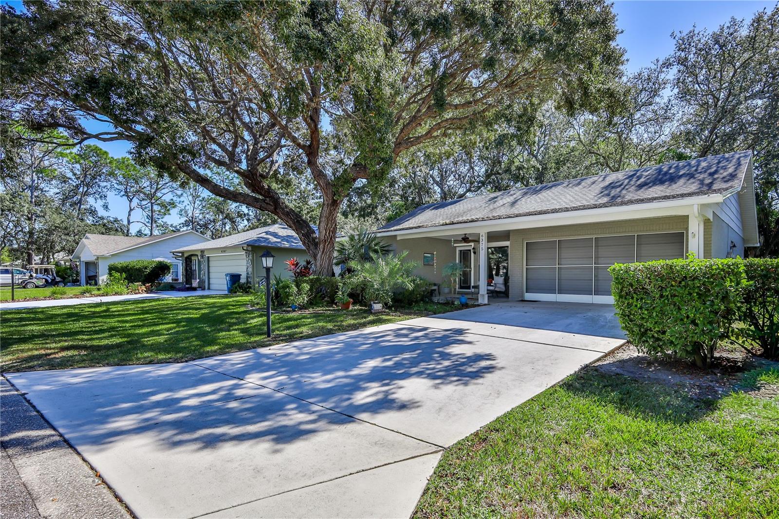 TIMBER PINES - Residential