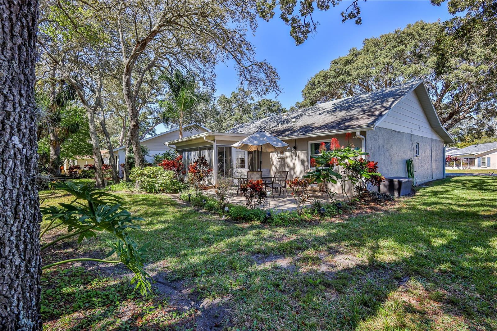 TIMBER PINES - Residential